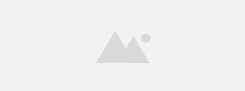 Tribune – Le secteur des arts visuels en danger !